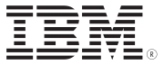 IBM logo